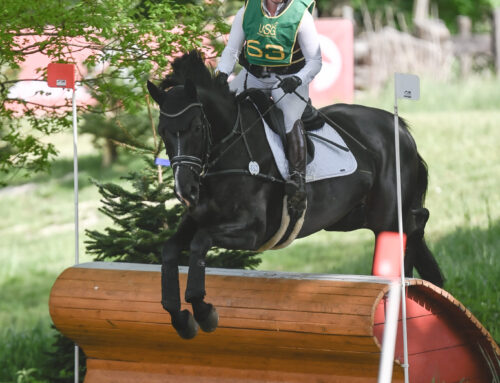 Sophie Grieger siegte auf der Trakehner-Stute Estia