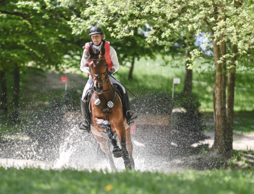 Ingrid Klimke führt in der CCI2*-S-Prüfung vor Anna Siemer