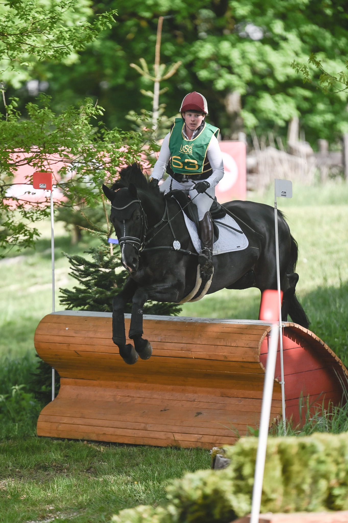 Sophie Grieger siegte auf der Trakehner-Stute Estia