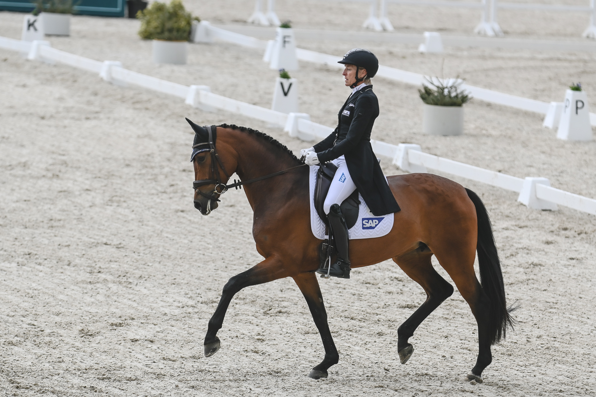 Dressur-Tag 2: Ingrid Klimke in CCI2*S knapp hinter Michael Jung