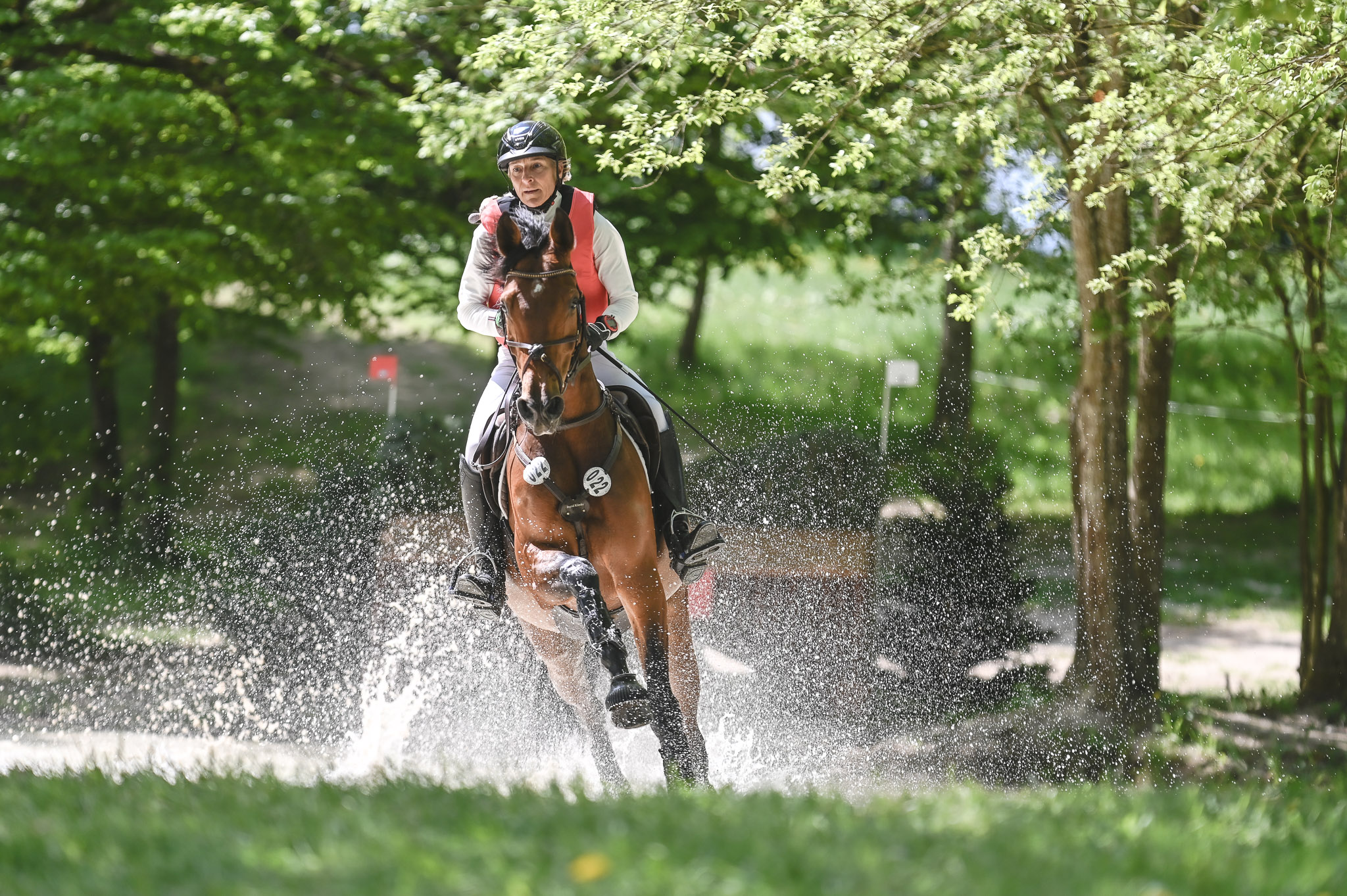 Ingrid Klimke führt in der CCI2*-S-Prüfung vor Anna Siemer